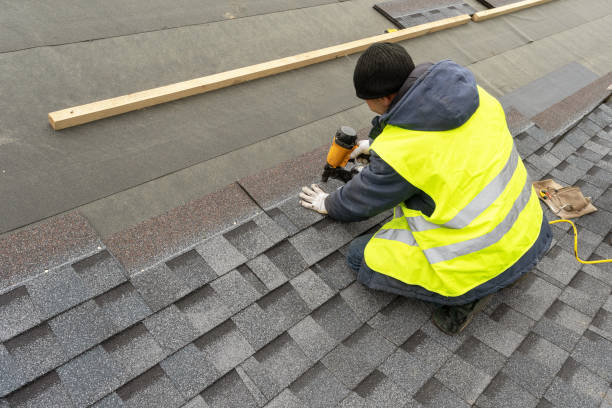 Best Roof Replacement Cost  in Earlvle, IL