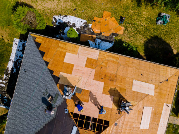 Best Roof Leak Repair  in Earlvle, IL