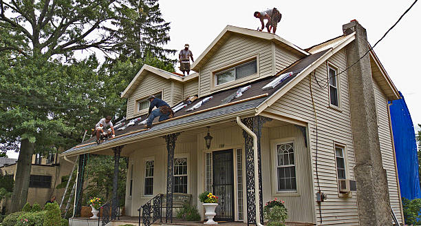 Best Gutter Installation and Roofing  in Earlvle, IL