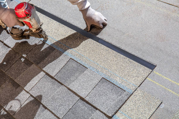 Best Roof Waterproofing Services  in Earlvle, IL